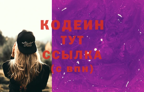 гидра Магас