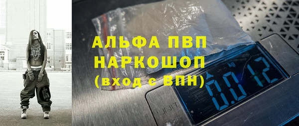гидра Магас