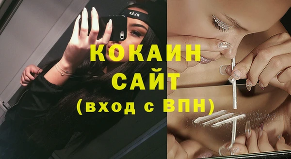 гидра Магас